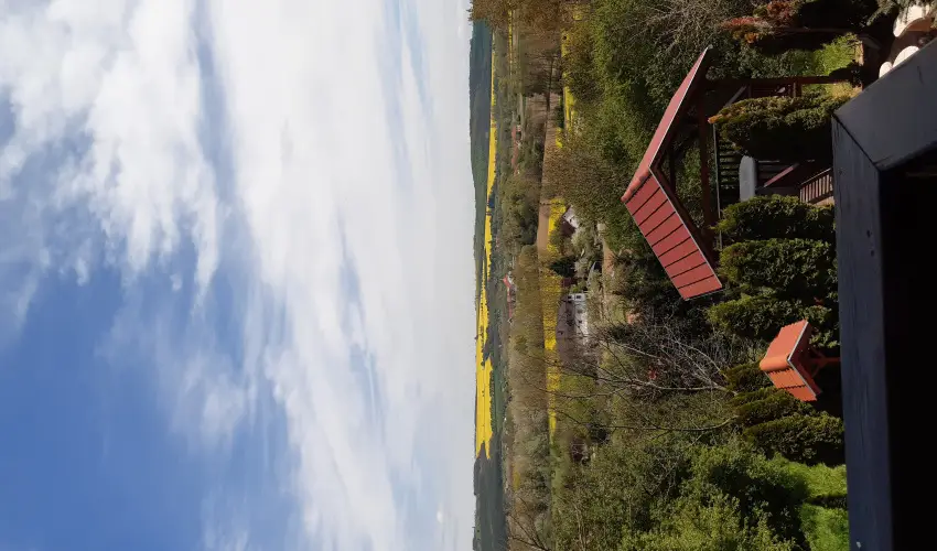 Difa Vendghz Kehidakustny - Hsvt (min. 3 j)