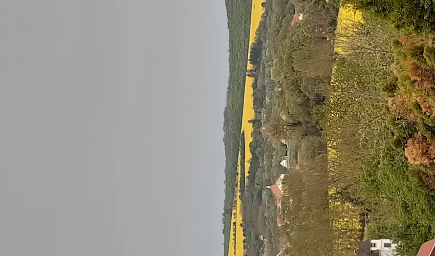 Difa Vendghz Kehidakustny - Hsvt (min. 3 j)