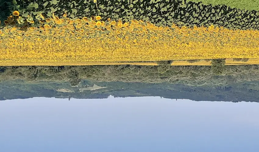 Difa Vendghz Kehidakustny - Hsvt (min. 3 j)