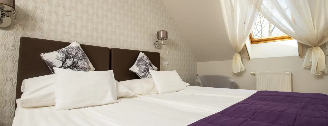 Dm Hotel Szeged - Hsvt - teljes elrefizetssel