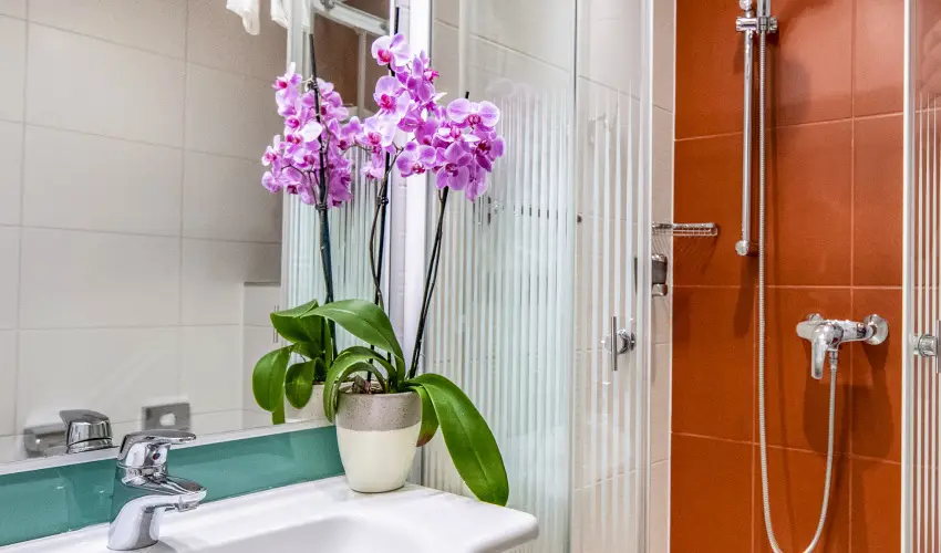 Drva Hotel Thermal Resort Harkny - Hsvt htvge a Drva Hotelben (min. 2 j)