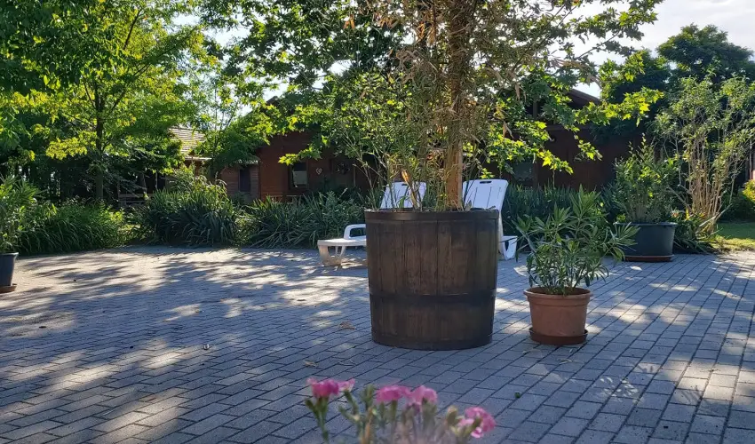 Dream Horse Apartman Cserkeszl - Hsvt (min. 2 j)