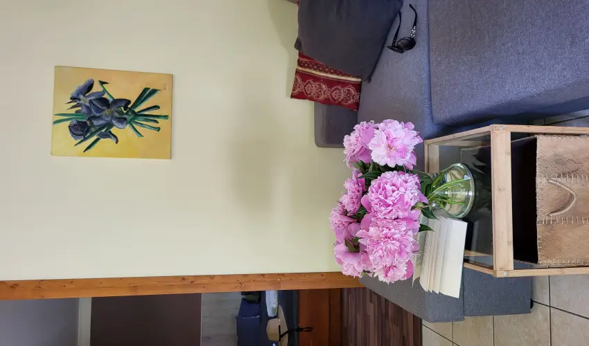 Dream Horse Apartman Cserkeszl - Hsvt (min. 2 j)