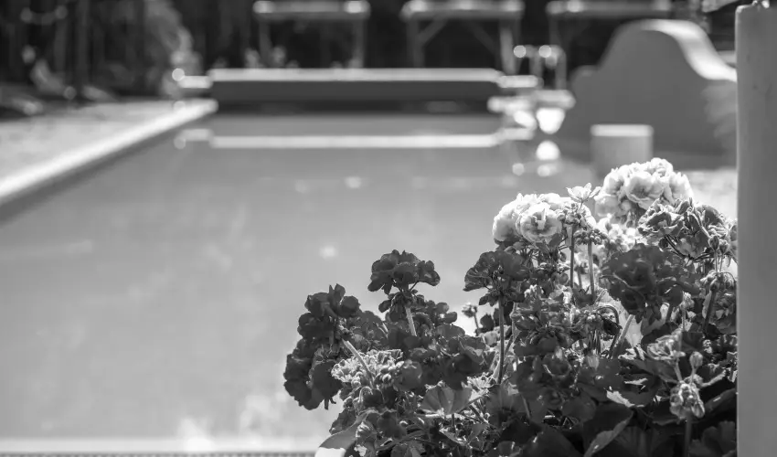 Duna Relax Hotel R�ckeve - H�sv�t (min. 3 �j)