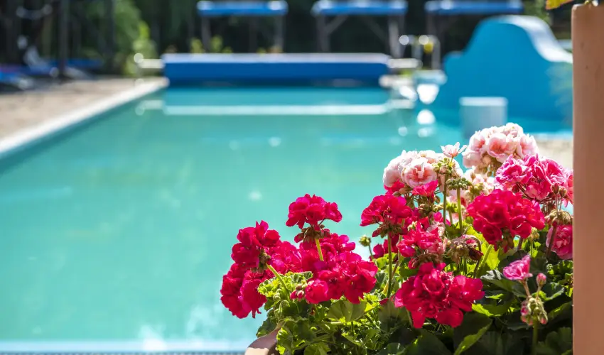 Duna Relax Hotel R�ckeve - H�sv�t (min. 2 �j)