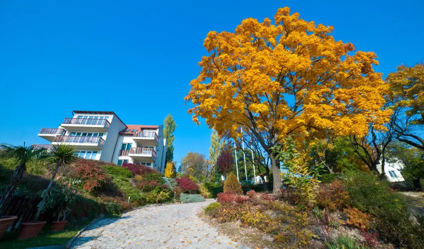 Echo Residence All Suite Hotel Tihany - Hsvt (min. 2 j)