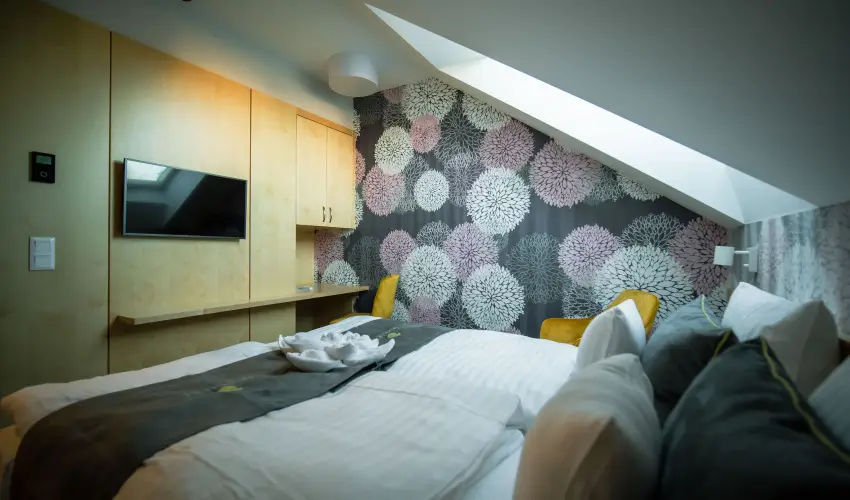 Eleven Business & Sport Hotel Jszrokszlls - Hsvt