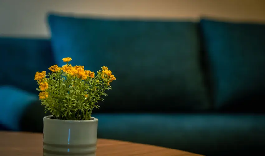 Eleven Business & Sport Hotel Jszrokszlls - Hsvt