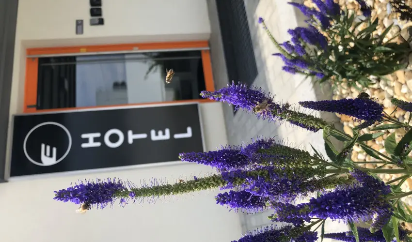 Eleven Business & Sport Hotel Jszrokszlls - Hsvt