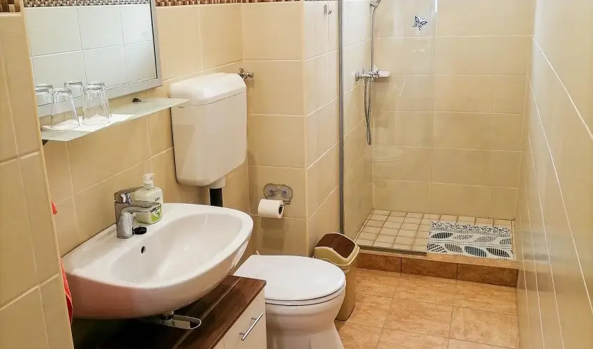 �lm�ny Vend�gh�z Csurg� - H�sv�t