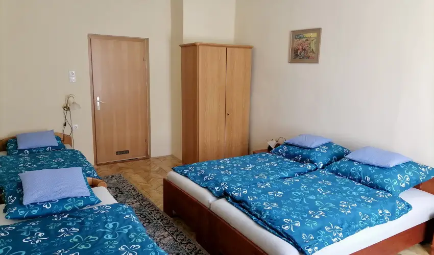 �lm�ny Vend�gh�z Csurg� - H�sv�t
