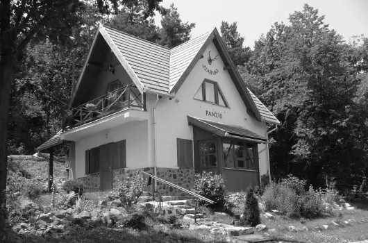 Szarvas Panzi - Hsvt (min. 2 j)