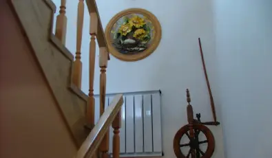 Szarvas Panzi Erdbnye