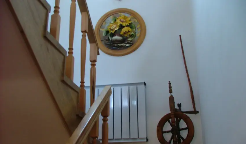 Szarvas Panzi Erdbnye - Hsvt (min. 2 j)