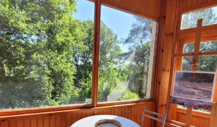 Szarvas Panzi Erdbnye - Hsvt (min. 2 j)