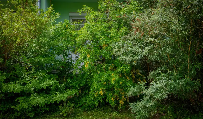 Erika Apartman Srvr - Hsvt (min. 3 j)