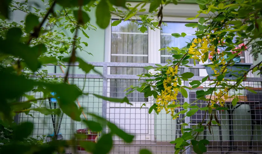 Erika Apartman Srvr - Hsvt (min. 3 j)