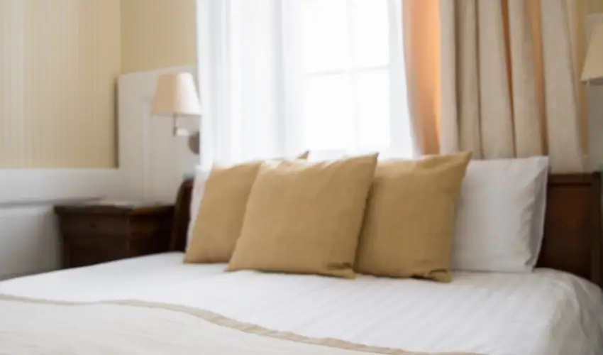 Erzsbet Nagy Szlloda Paks - Hsvt