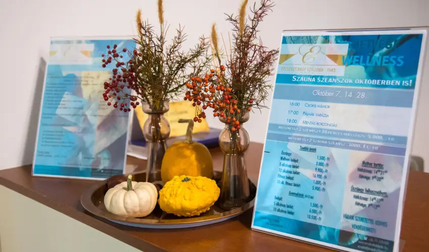 Erzsbet Nagy Szlloda Paks - Hsvt