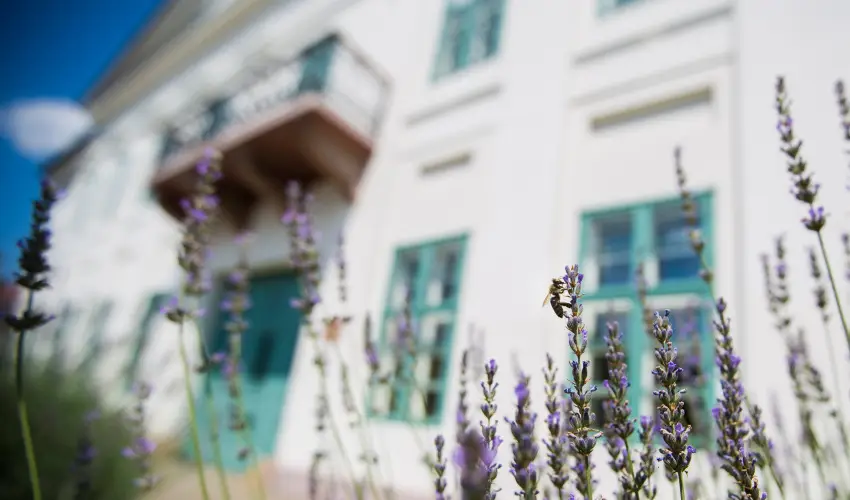 Erzsbet Nagy Szlloda Paks - Hsvt