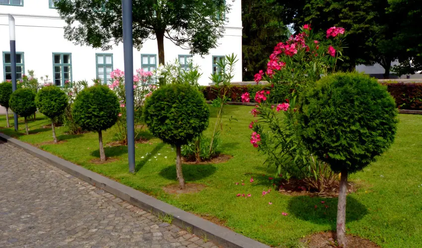 Erzsbet Nagy Szlloda Paks - Hsvt