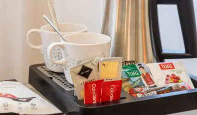 Erzsbet Kirlyn Szlloda Gdll