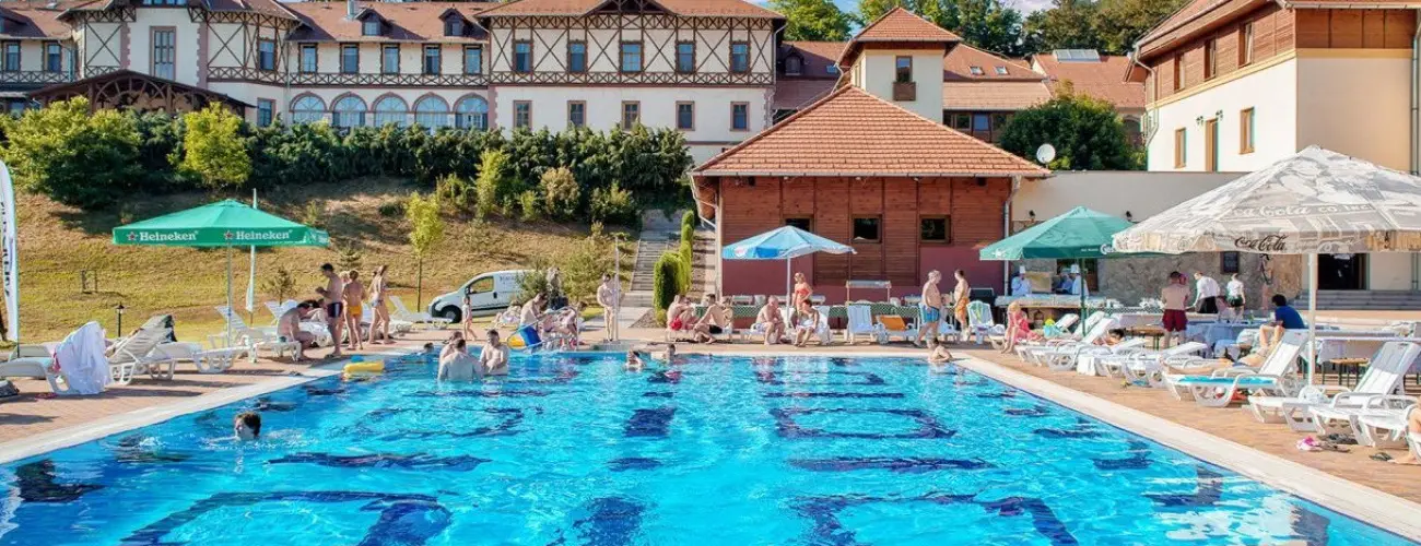 Erzsbet Park Hotel Pardfrd - Hsvt