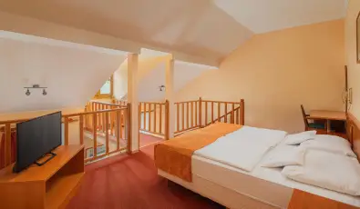 Erzsbet Park Hotel Pardfrd