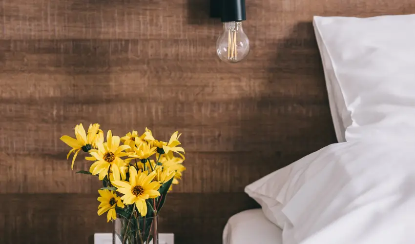 FATA Birtok Vendghz Nemesgulcs - Hsvt (min. 2 j)