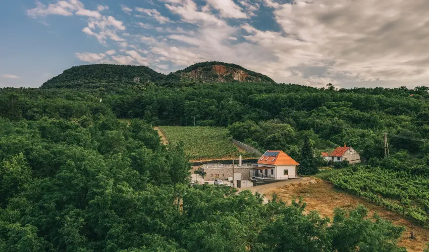 FATA Birtok Vendghz Nemesgulcs - Hsvt (min. 2 j)