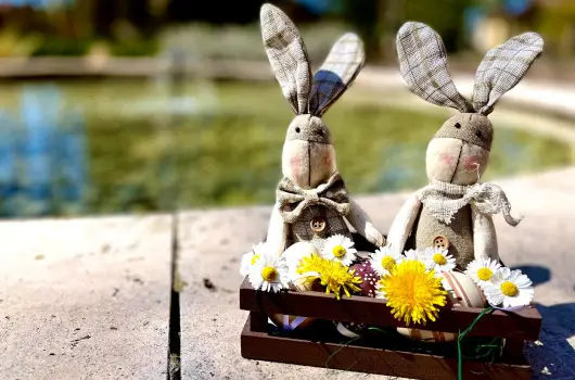 F�nix Wellness Resort - H�sv�t