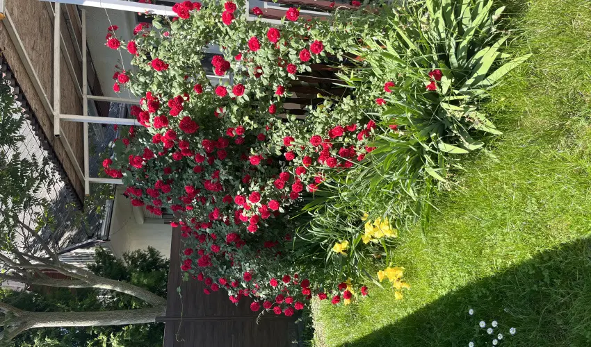 Francesco Apartmanhz Velence - Hsvt (min. 2 j)