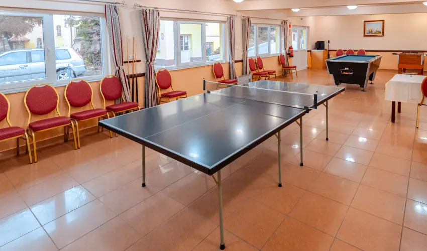Fried Kast�ly Hotel Simontornya - H�sv�t (min. 3 �j)