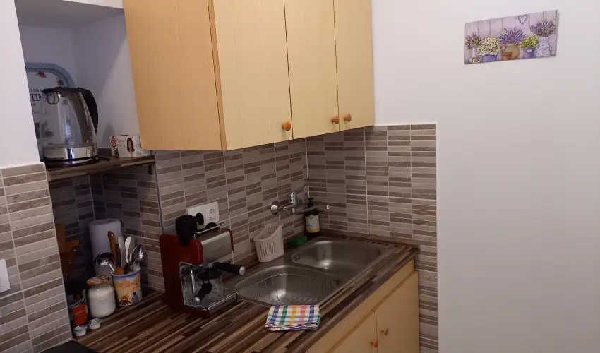 Gbor Vendghz Eger - Hsvt