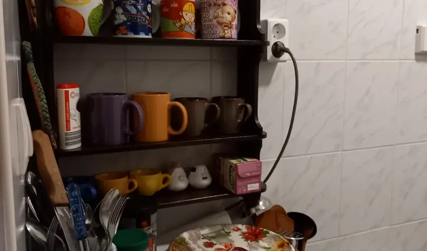 Gbor Vendghz Eger - Hsvt