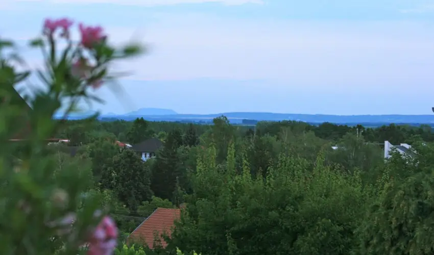 Mese Panzi� Zalakaros - H�sv�t (min. 2 �j)