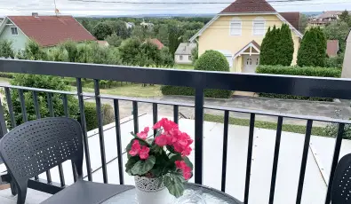 Mese Panzi� Zalakaros