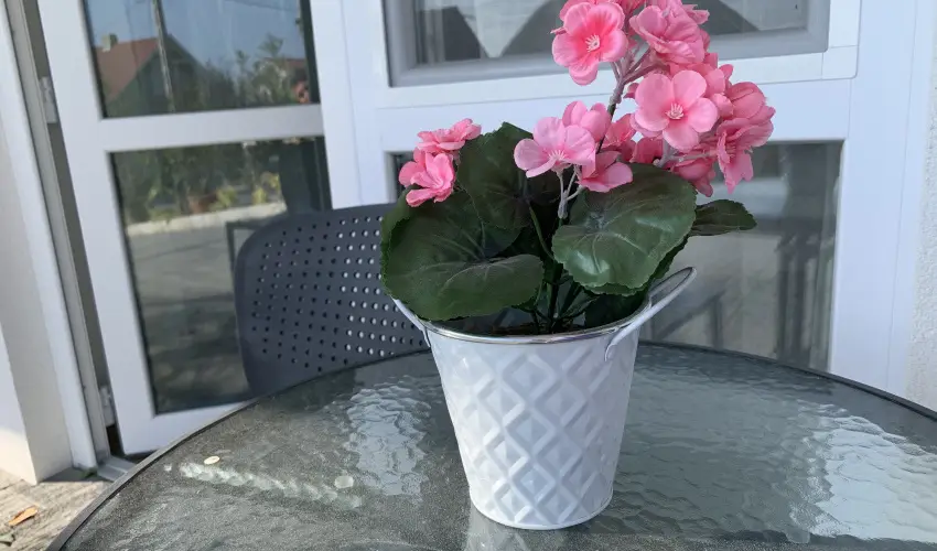 Mese Panzi� Zalakaros - H�sv�t (min. 2 �j)