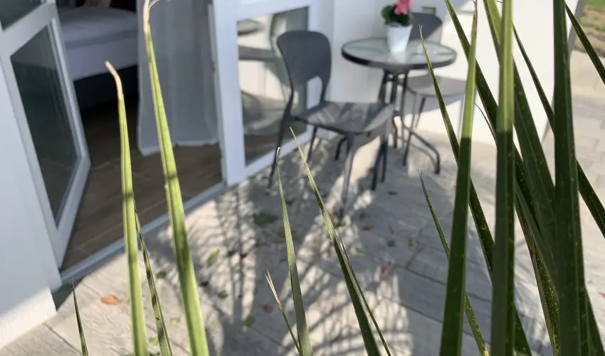 Mese Panzi� Zalakaros - H�sv�t (min. 2 �j)