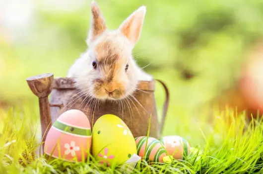 Golden Ball Club Hotel - H�sv�t (min. 2 �j)