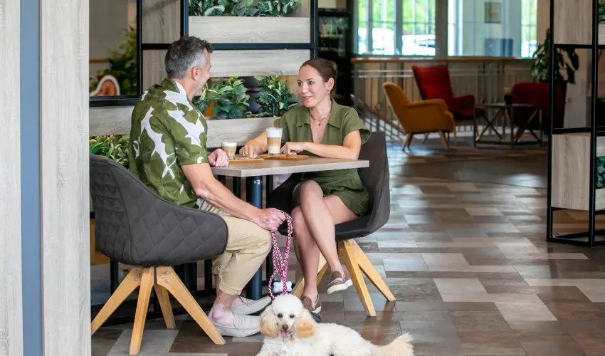 Gotthard Therme Hotel & Conference Szentgotthrd - Hsvt - teljes elrefizetssel