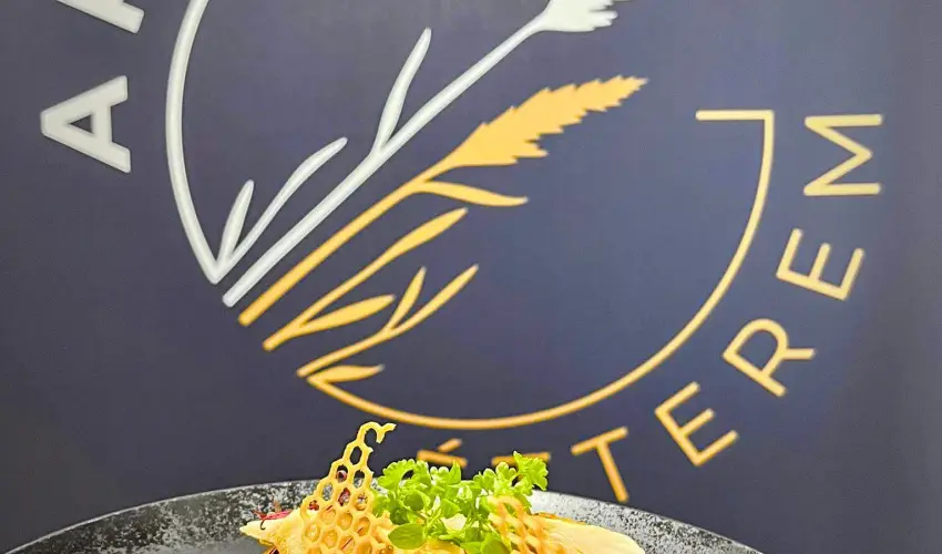 Gyirmt Sport & Wellness Hotel Gyr - Hsvt