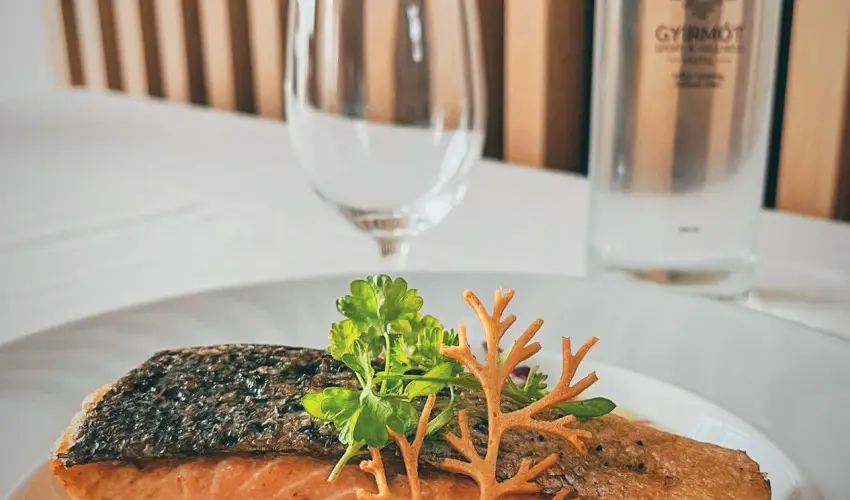 Gyirmt Sport & Wellness Hotel Gyr - Hsvt