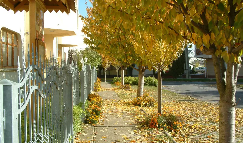 Hajd� Kast�ly Hotel Hajd�szoboszl� - H�sv�t (min. 2 �j)