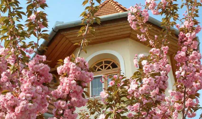 Hajd� Kast�ly Hotel Hajd�szoboszl� - H�sv�t (min. 2 �j)