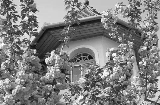 Hajd� Kast�ly Hotel - H�sv�t (min. 2 �j)