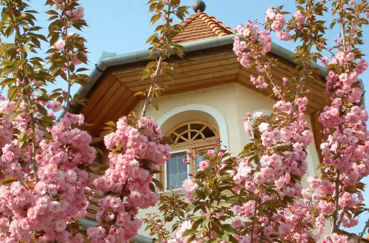 Hajd� Kast�ly Hotel - H�sv�t (min. 2 �j)