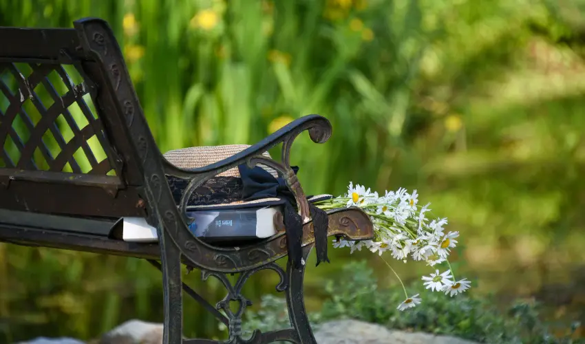 Halhza Vendghz Sirok - Hsvt (min. 3 j)