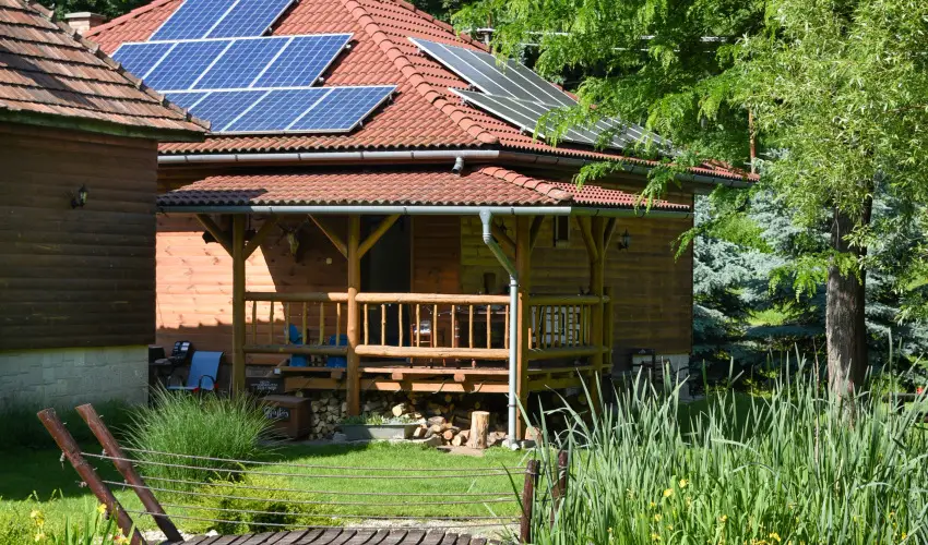 Halhza Vendghz Sirok - Hsvt (min. 3 j)