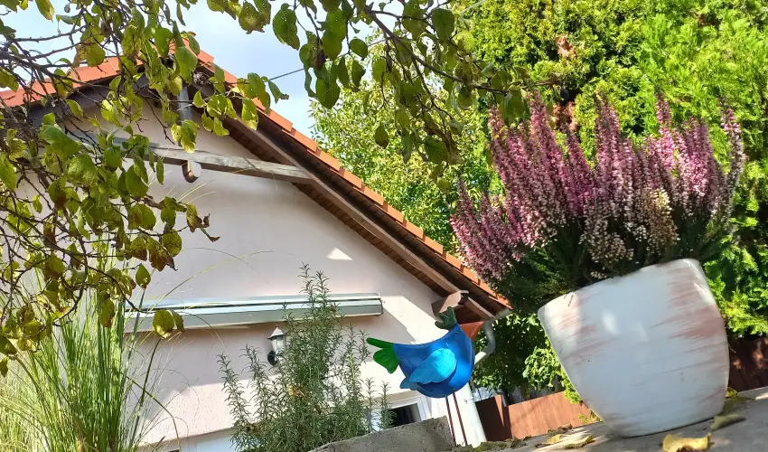 Hanga-lak Velence - Hsvt (min. 2 j)